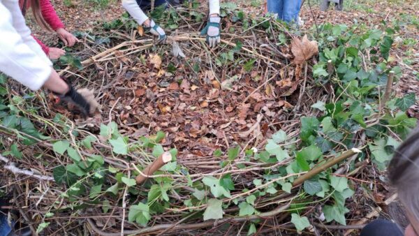 normal_20251114_143048